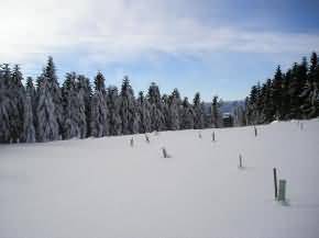 Návštěva zimních Alp